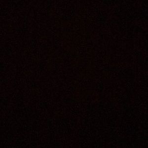 Meet your Posher, Will